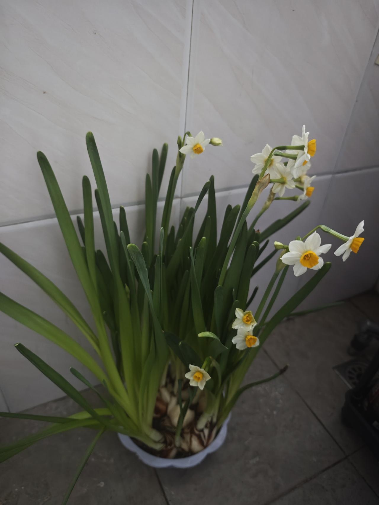 •衰老，可以被干预被延缓，甚至在一定程度上可以被“改写”的生理程序！这是＜我们为