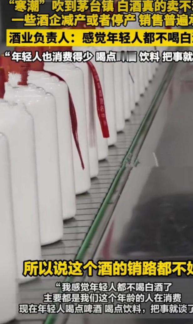 酒业负责人说年轻人都不喝白酒了，这还真不是空穴来风。茅台价格波动就是个信号，20