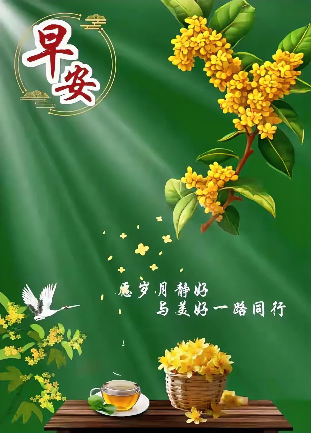 晨光伴花香，一杯清茶慰晨起。愿岁月静好，与美好一路同行，早安！早晨美图打卡
