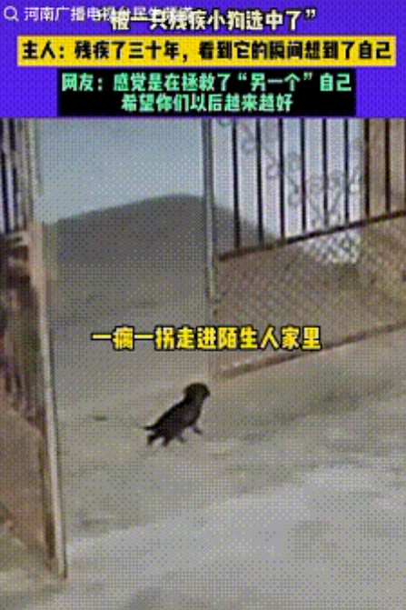 “真是特别的缘分！”7月6日，江西，一只残疾小狗跑到一处院子，院子主人看到小狗这