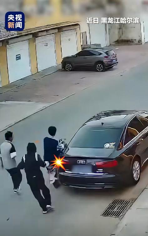黑龙江哈尔滨，10月5日，几名男孩骑车时不慎刮蹭路边奥迪。事后，孩子们主动寻找车