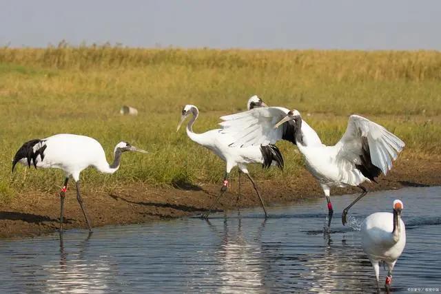 有些事情，科学真是无法解释。村里有个84岁的老大爷癌症晚期，大年初二的时候在