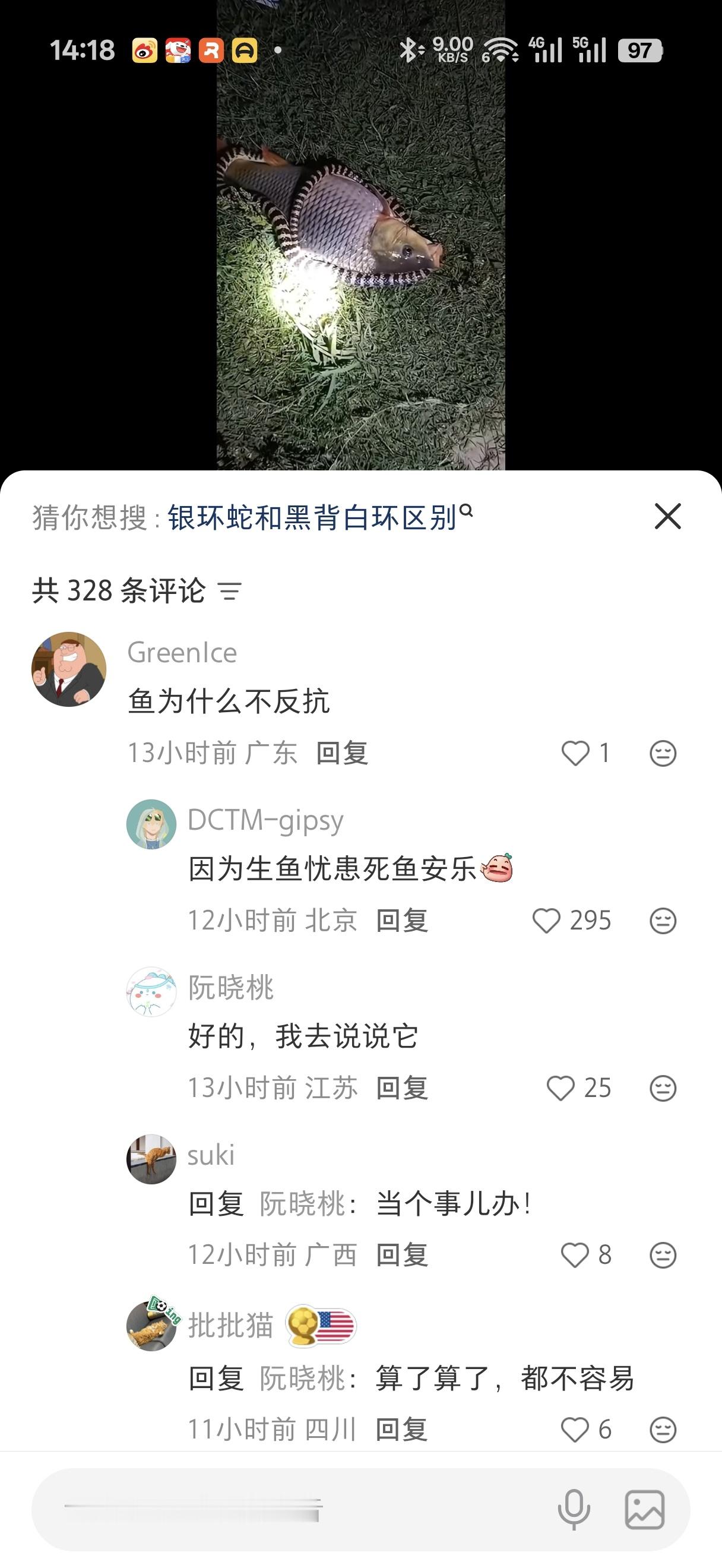 每天都能被装唐的评论区逗笑