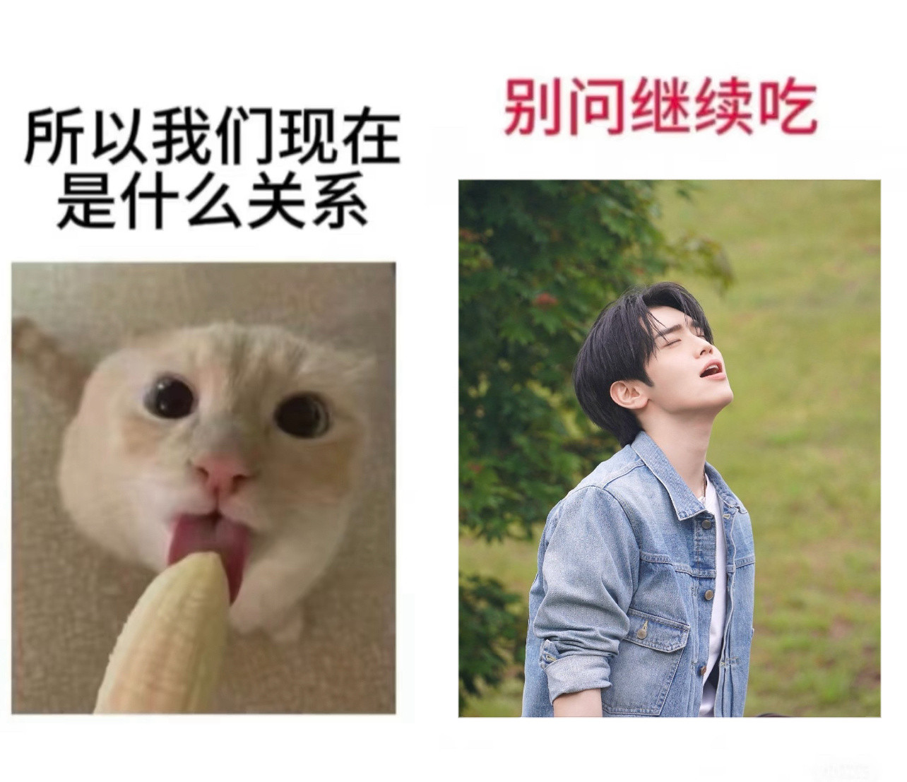 【🦆】我们现在什么关系