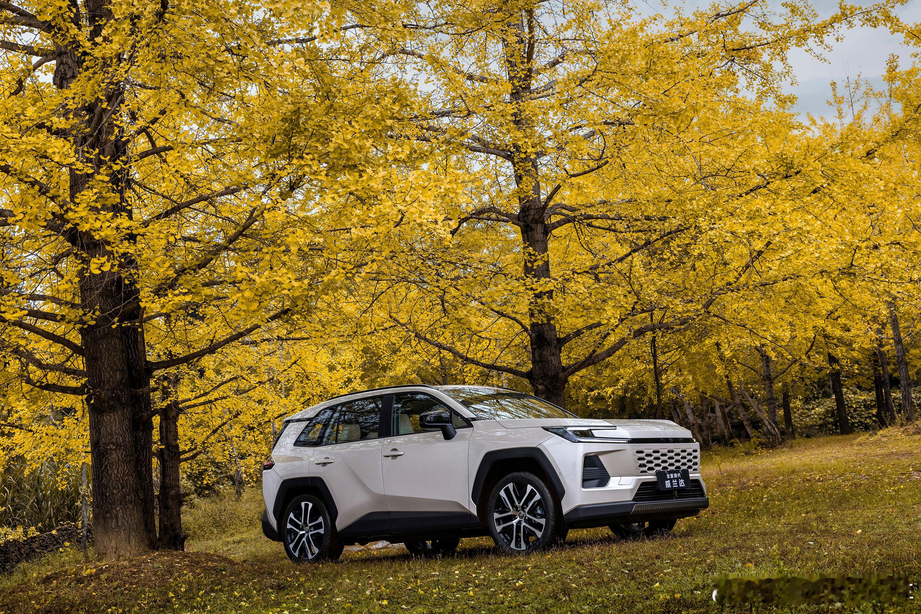 广汽丰田燃油车的用户有福了，广汽丰田为售后保养兜底，推出全国通用的厂家一口价保养