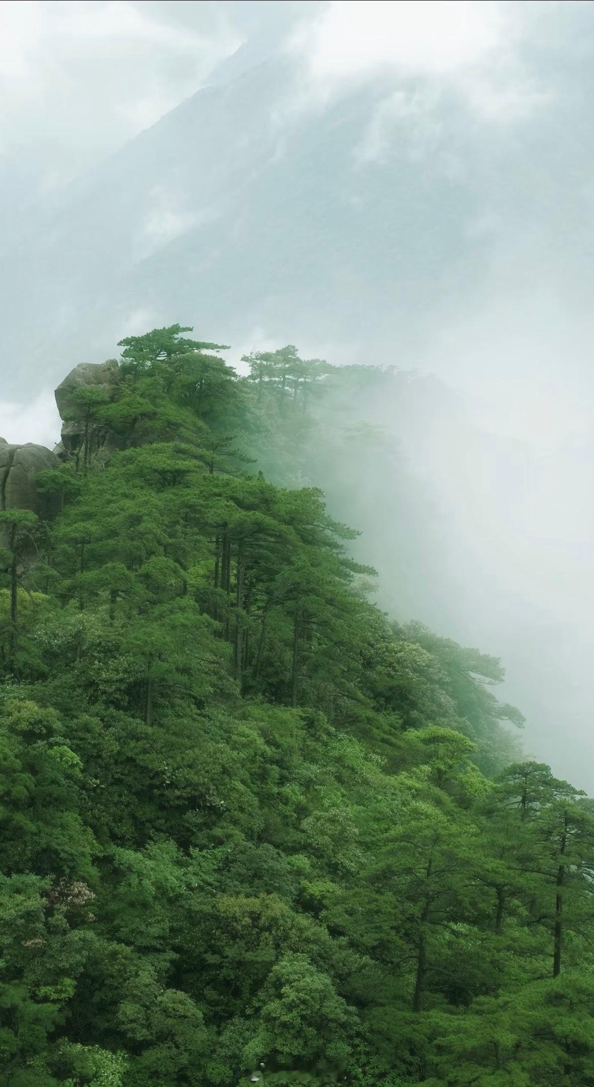 云雾缭绕的三清山太美了吧！真正的云深不知处，要不是神仙们躺平了，这地方哪轮到我们