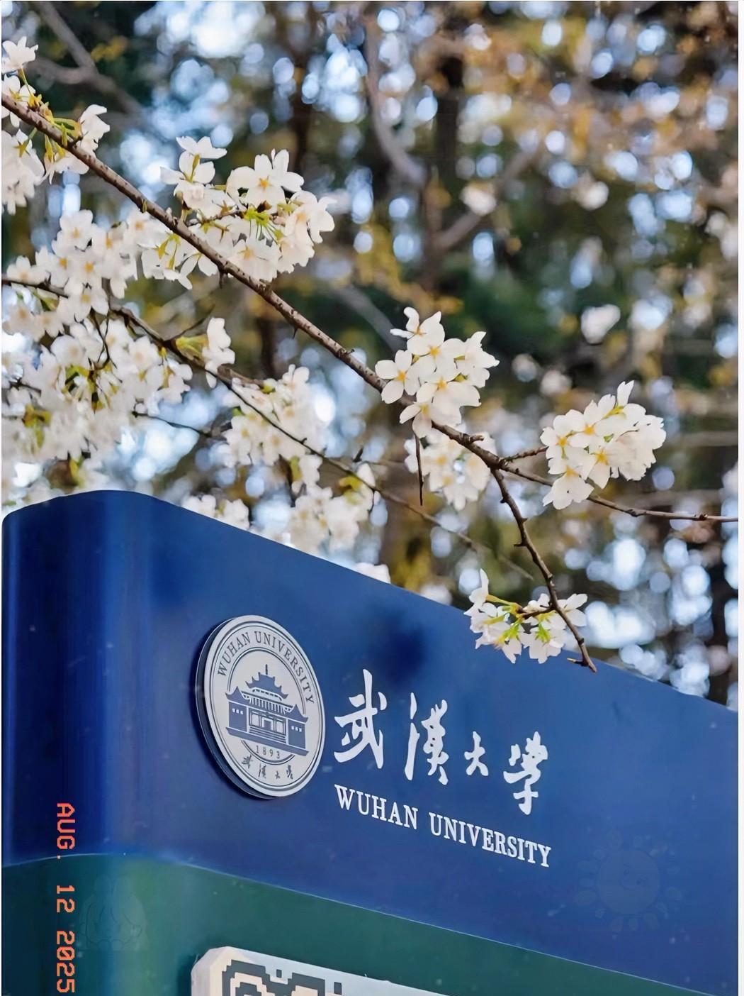 友友们，武大又双叒叕出事儿啦！杨某媛保研材料里的SCI通讯作者邓小梅，可把大家