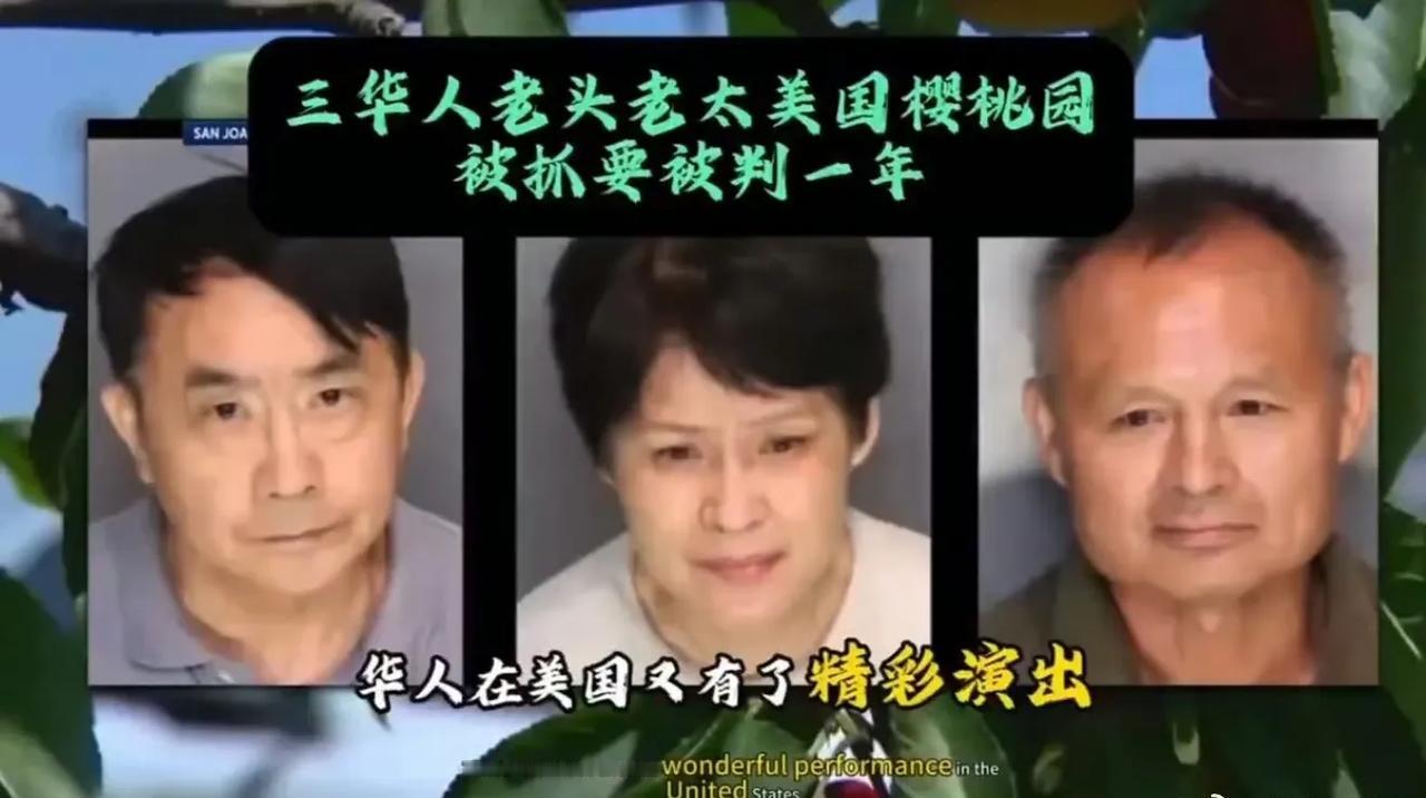 在美国，千万不要觉得去摘点水果，掰点玉米，拾点稻穗也像国内一样，最多被人骂几句，