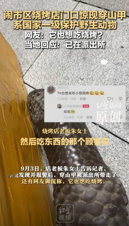 “意外的惊喜！”江西景德镇，一烧烤店老板发现门外有东西在爬行，女店主以为是只大老