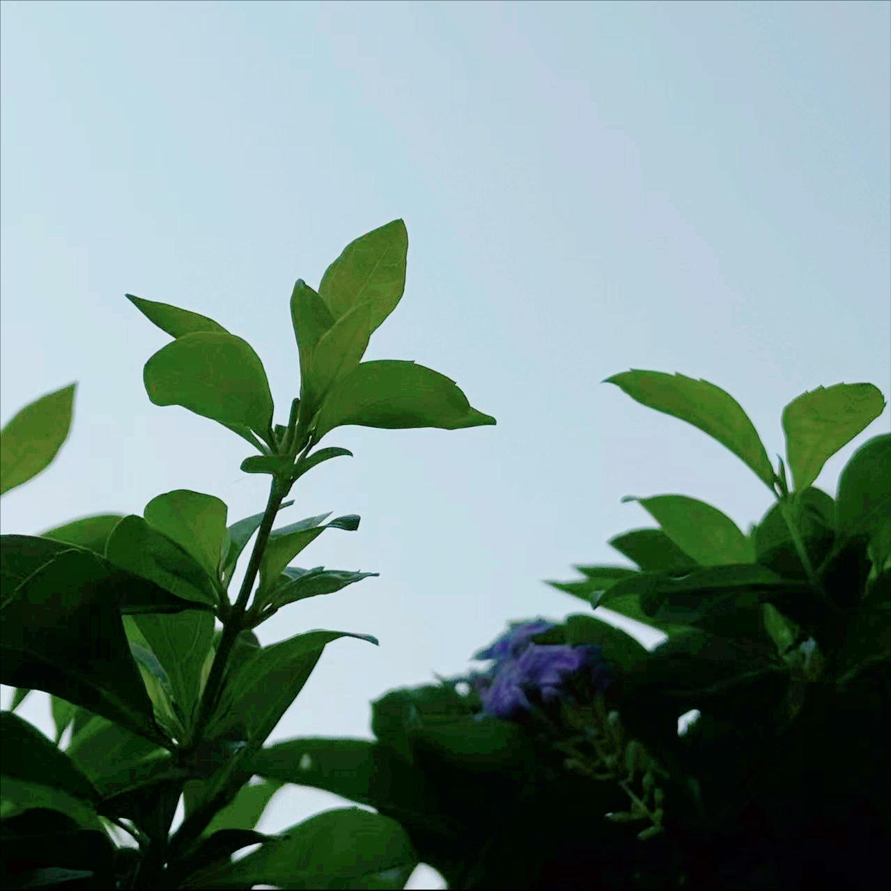 今天上午  山东：执纪审查1人 4月13日上午，该省执纪审查1人，为菏泽市