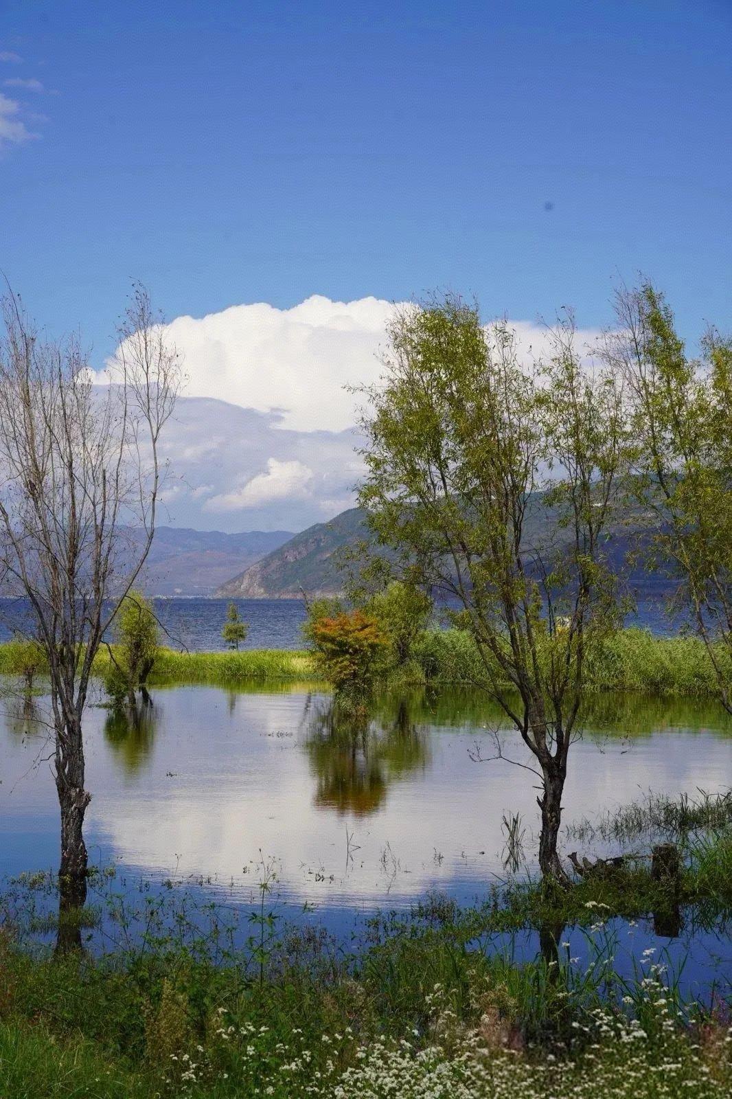 有人问，伊斯兰世界还分为逊尼派和什叶派，这个有什么区别？逊尼派：谁行谁上，讲共
