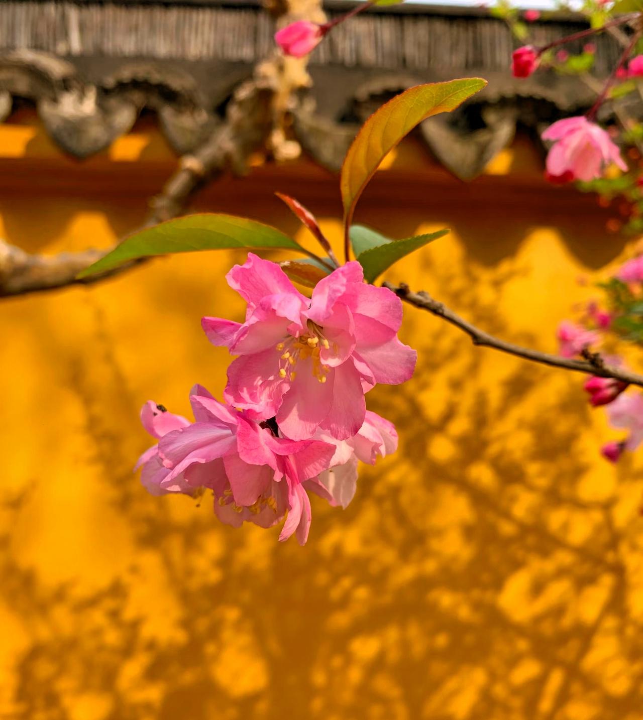 一个男人，喜欢一个女人。要是总得不到这个女人的身体，这份喜欢未必会没完没了，越