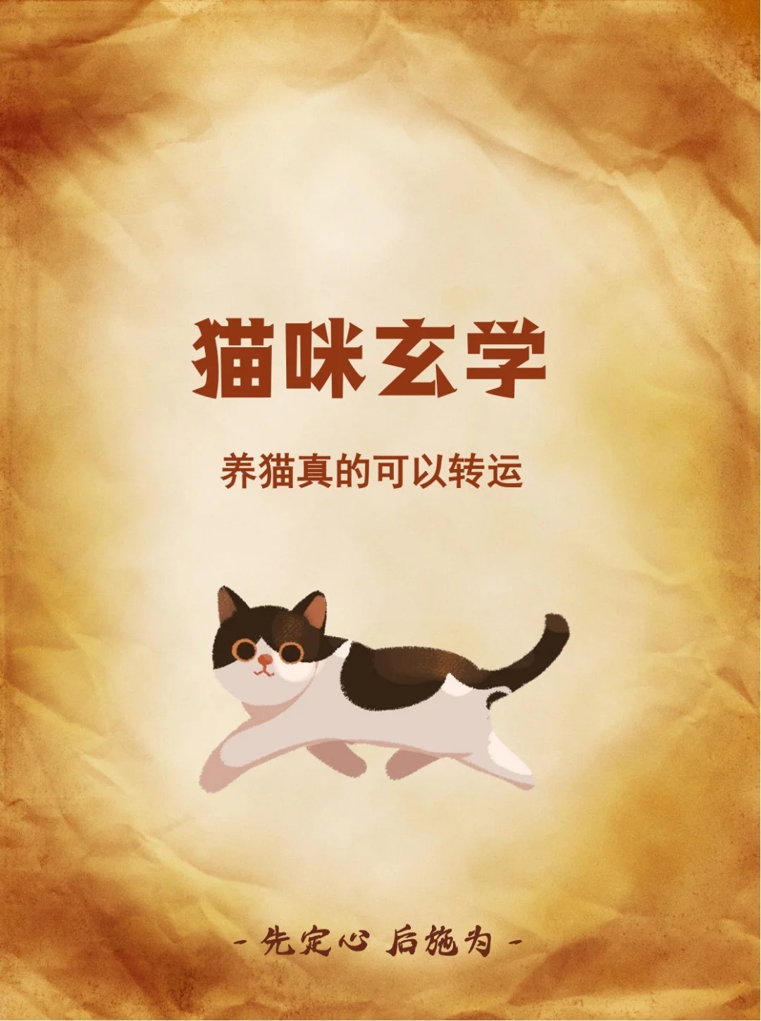 猫咪玄学：养猫真的可以转运