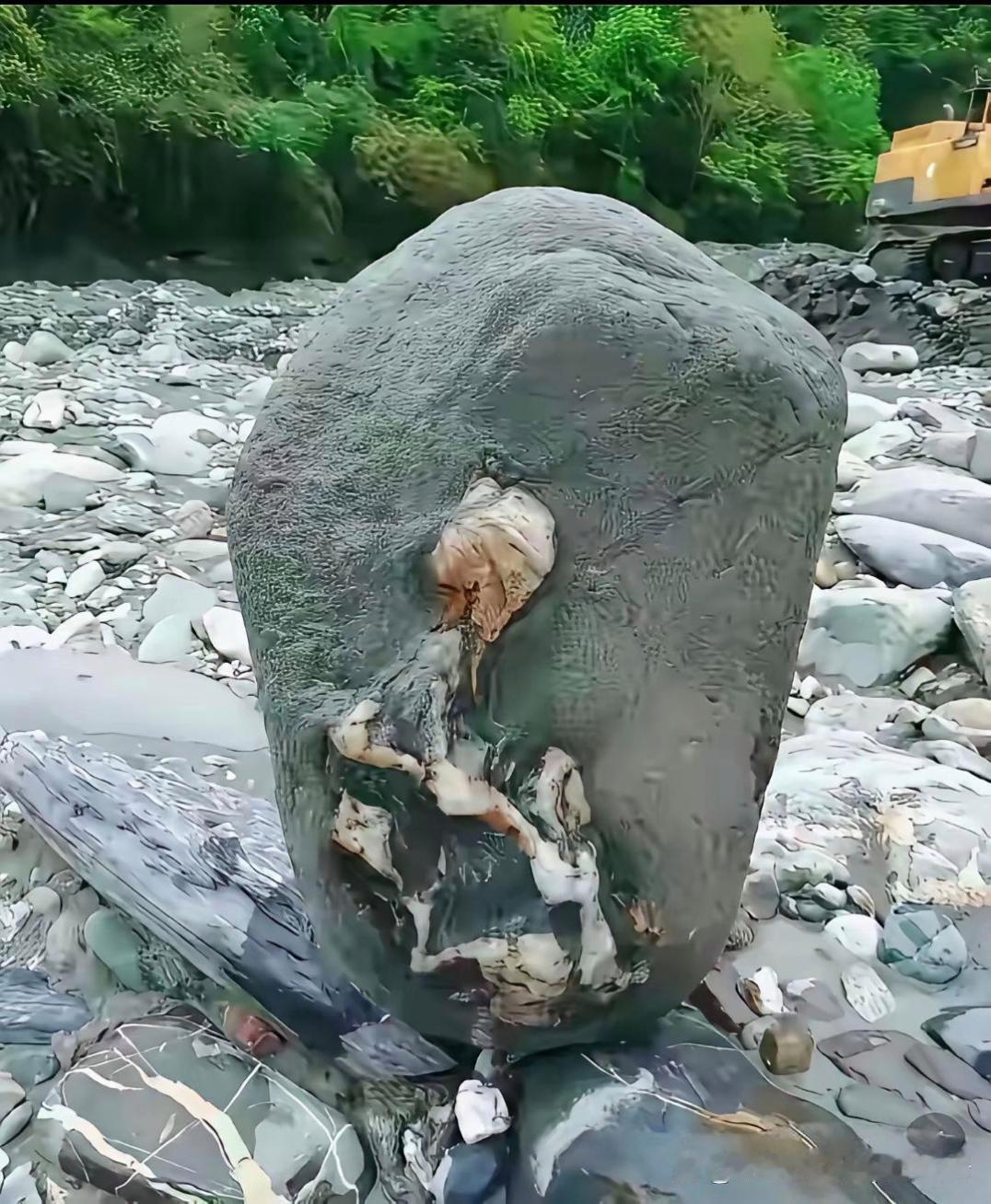 悟空的弟弟？