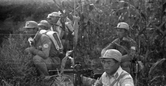 1938年，八路军设伏等待日军进入包围圈。突然，一头毛驴踩中了地雷，让日军觉察到