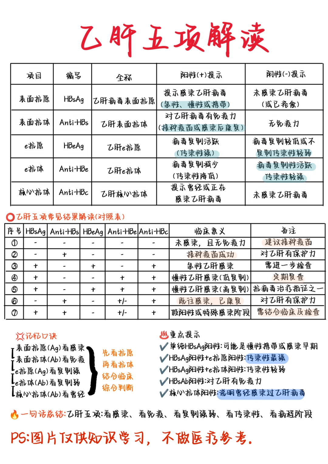 医学生笔记——乙肝五项解读