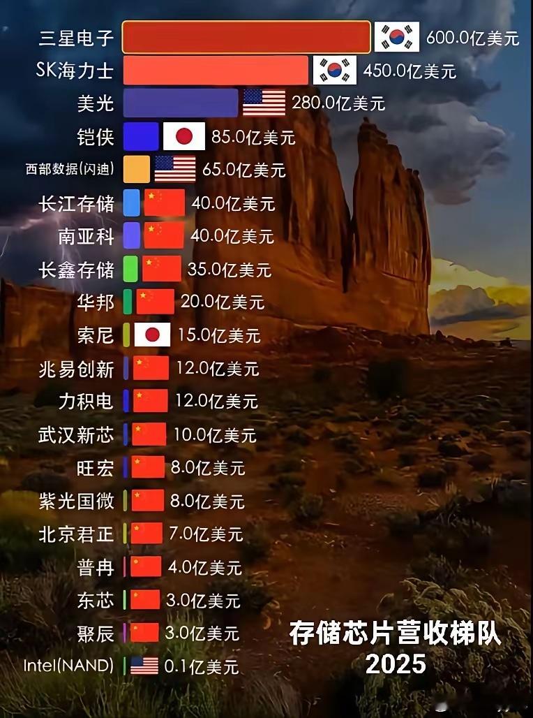 存储芯片营收梯队2025
