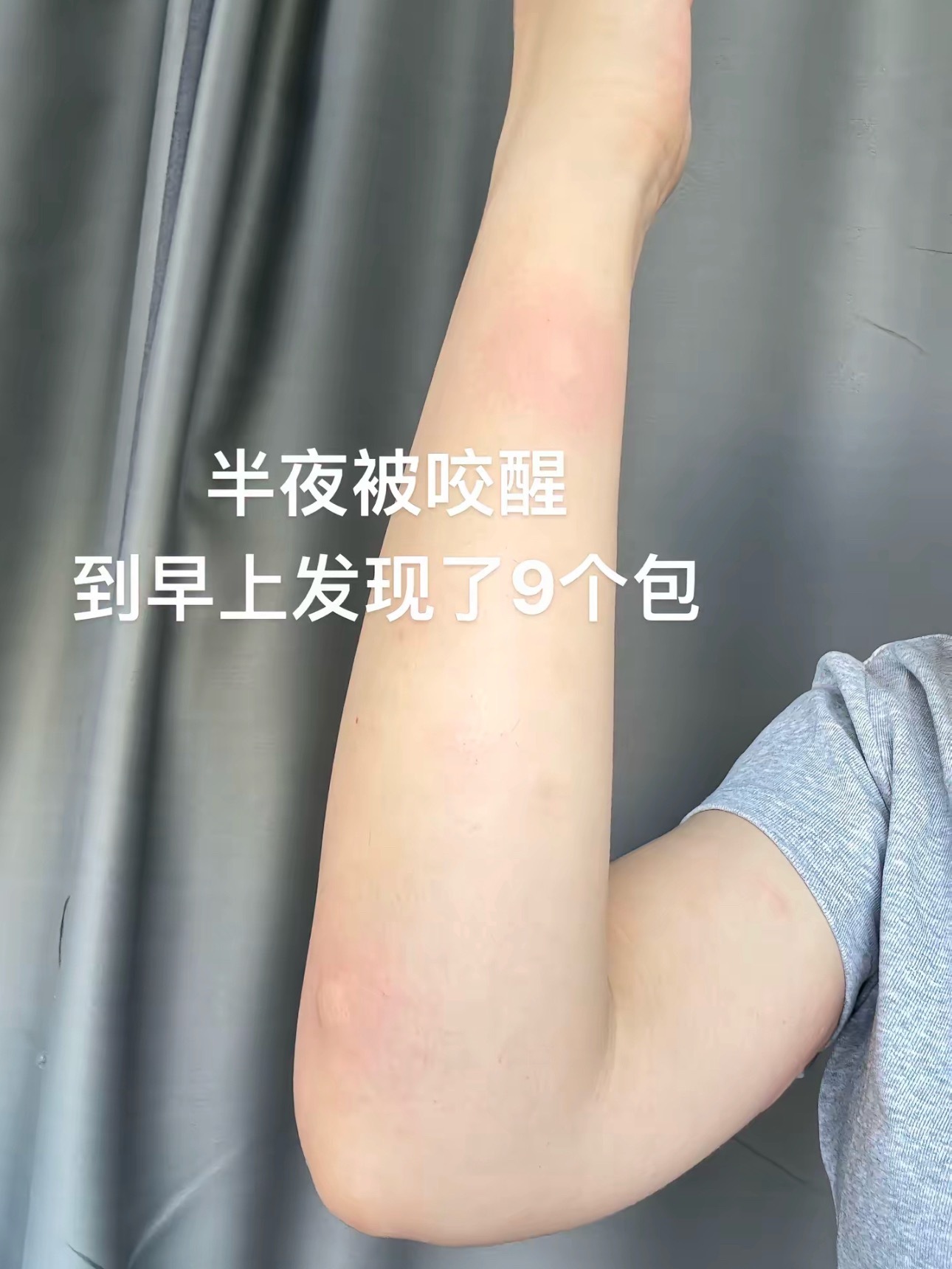 第一次吃自助餐没经验的蚊子蚊子：命运戏弄大馋猪啊……春日放个疯​​​