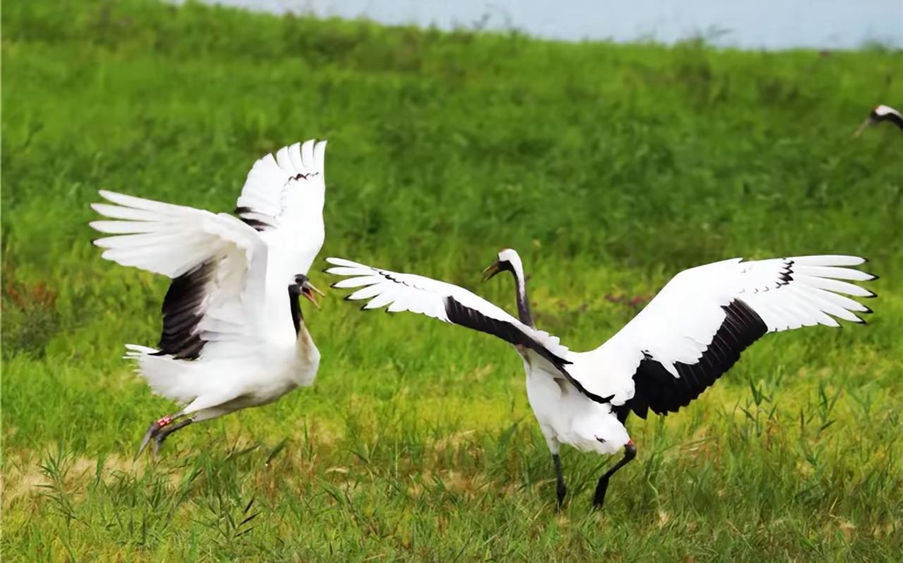 夫妻相处十戒，守住便是一生安稳1. 私密有度，不越界限2. 温柔相待，不