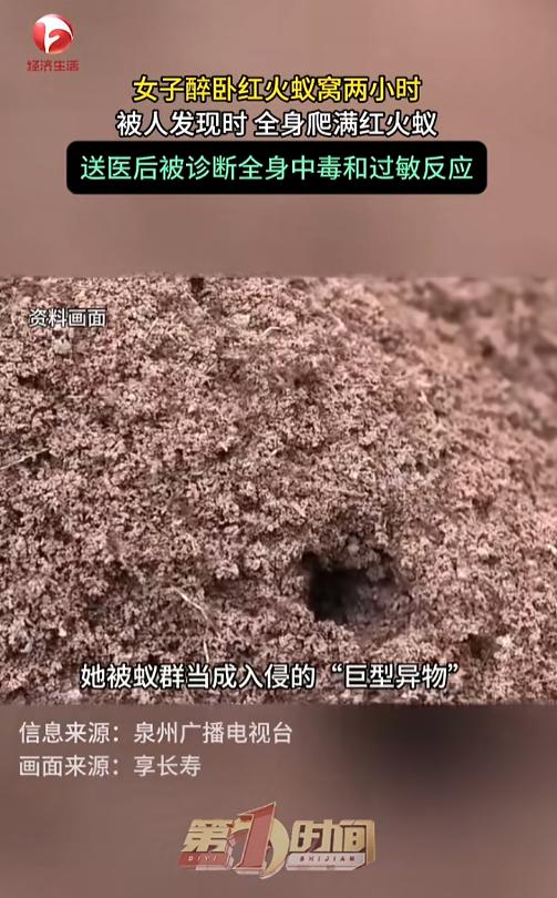 “醉酒女子被红火蚁捡尸！”7月15日报道，福建泉州，一女子喝醉了酒，直接醉倒在了