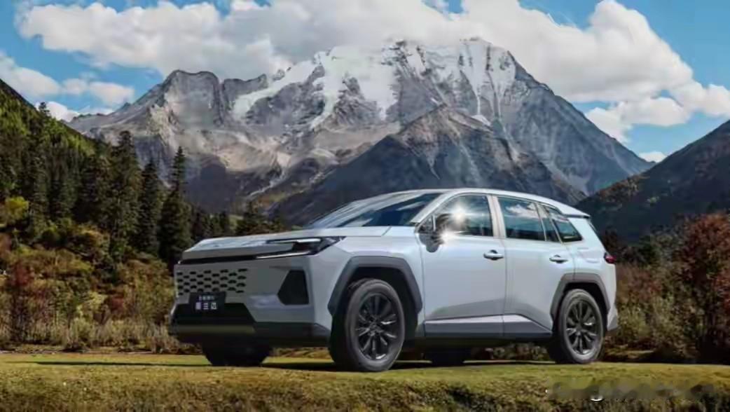 这次威兰达AIR版依然提供了两种动力让大家选，照顾了不同人的需求。燃油版搭载的是