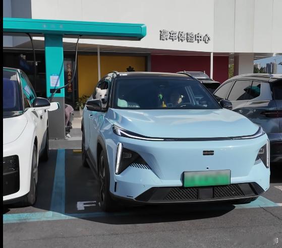 现在怨气换到比亚迪的车主这里了。因为其他品牌的车都跑到比亚迪闪充桩充电了……享受