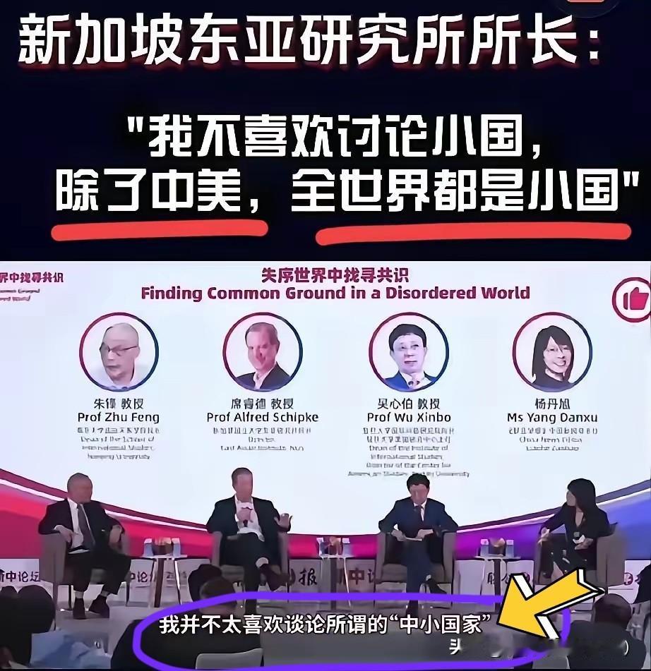 要论整治新加坡人,还得美国人来!美国教授到新加坡参加论坛,现场直言,除了中美之外