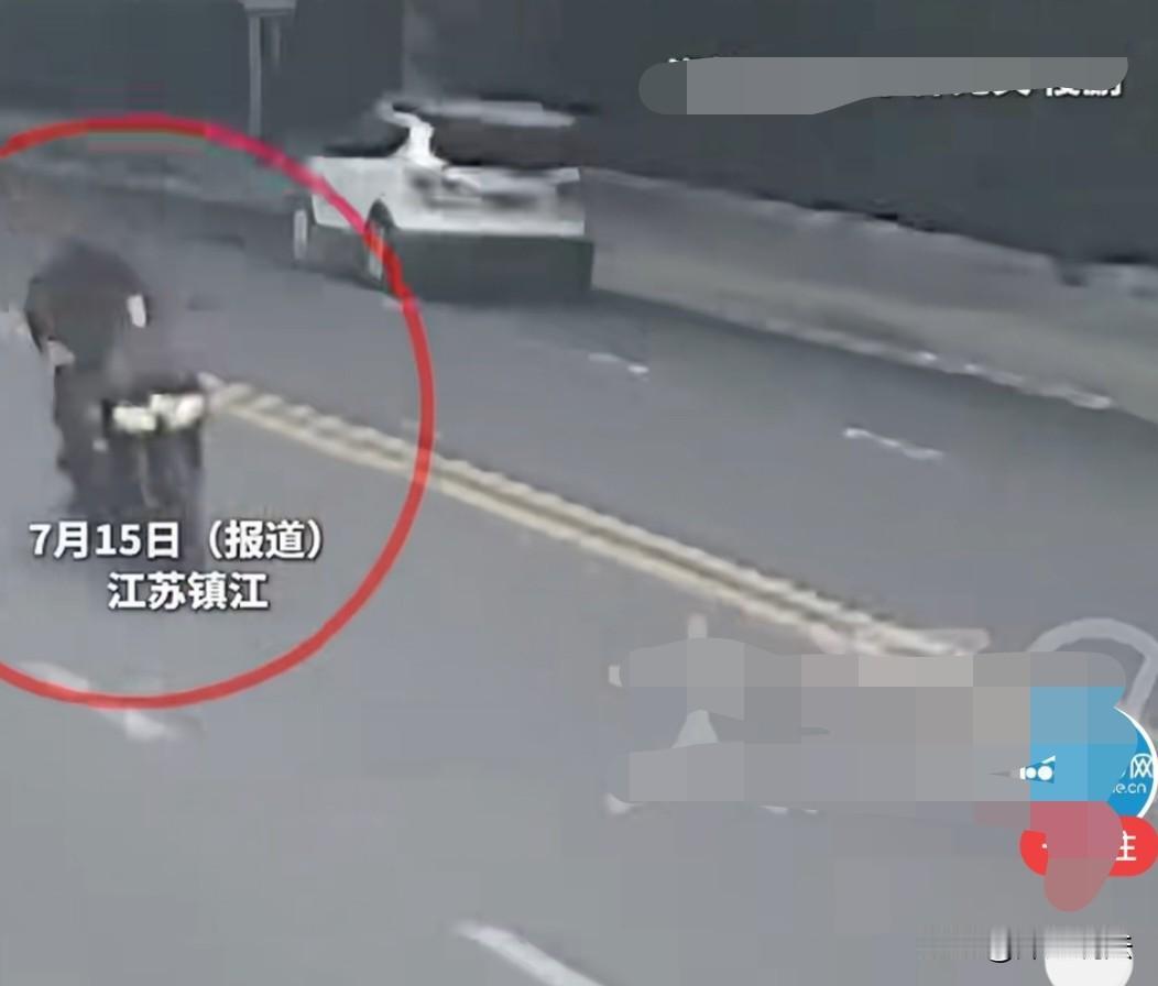 江苏镇江，李女士骑着电动车撞了一棵树，摔倒后不幸离世，家属向养路部门索赔近150