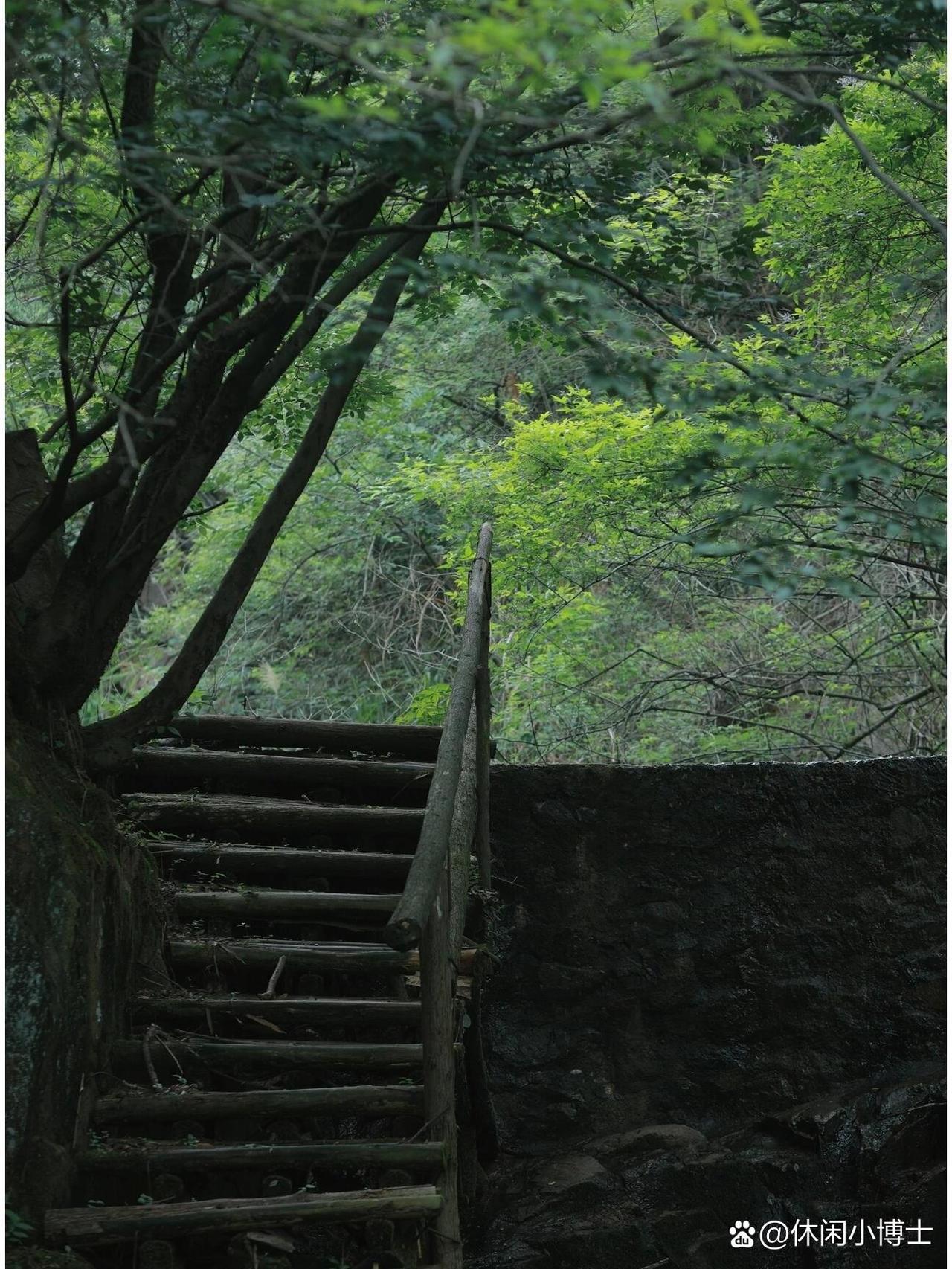 鄂州市举人沟风景区一日游攻略🌿藏在鄂州的宝藏小众景区！避开人挤人，承包整片