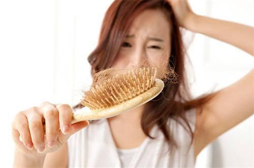 头发掉的厉害是什么原因?