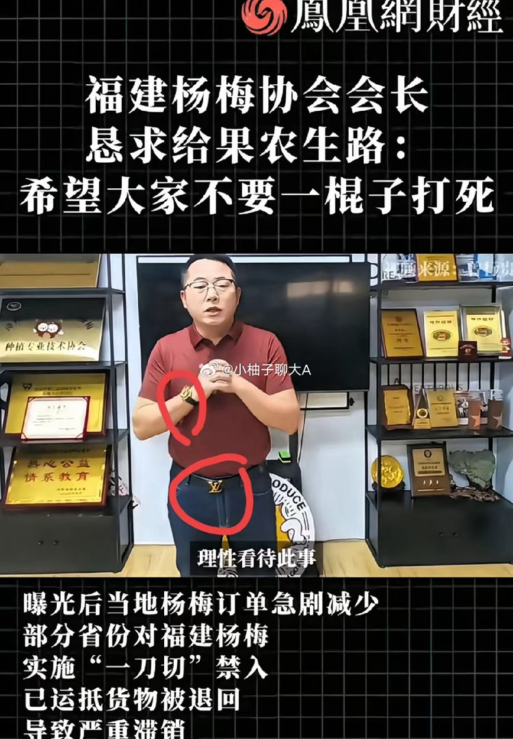 漳州杨梅泡药事发，会长哭求给果农机会，可手上名表、腰间LV皮带超吸睛。网友怒批其