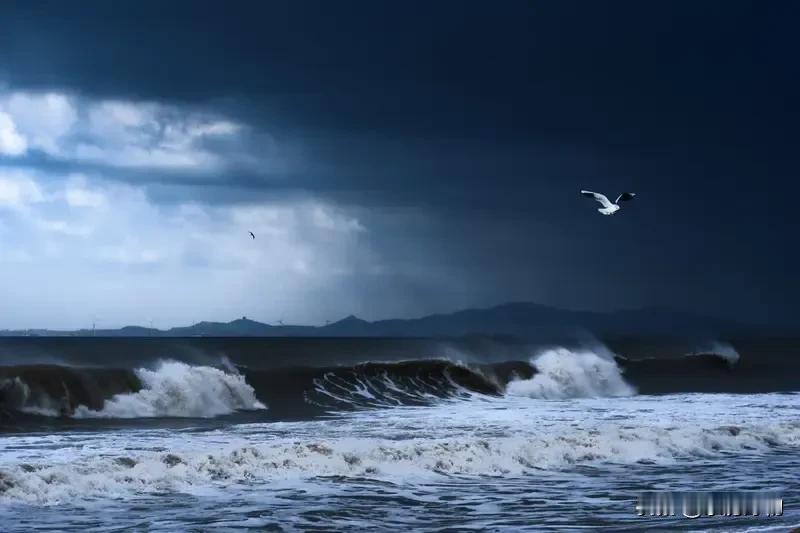 台风“海鸥”在菲律宾掀起狂风暴雨，目前已导致114人不幸遇难，195万人受到影响