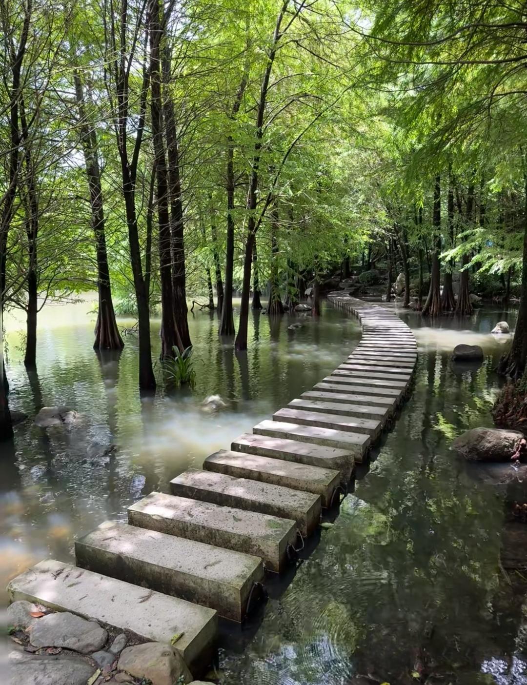 姑父是个中学退休老师，年前去世了，膝下有一个儿子三个女儿四个孩子。办完葬礼后，姑