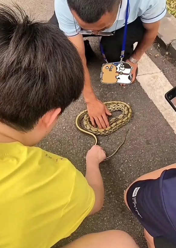 牛冠凯一条王楚钦路边摸蛇视频将他头哥成功送上了热搜，但我却在小牛评论区快笑不活了