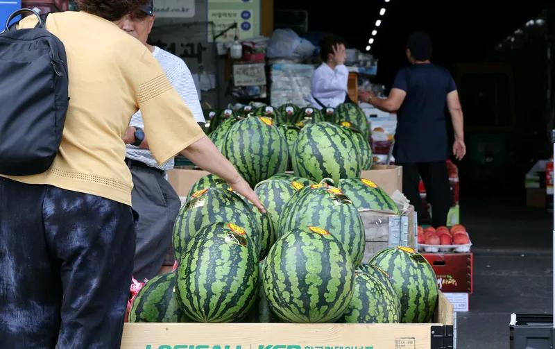 韩国人抱怨吃不起西瓜都是因为中国人，中国人不但自己吃的多，就是拿西瓜喂猪，也不肯