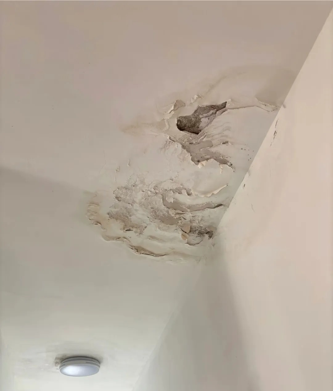 邻居大姐的老头刚去世不久，她楼下邻居上来敲门，说你家厕所漏了你下来看看，大姐就下