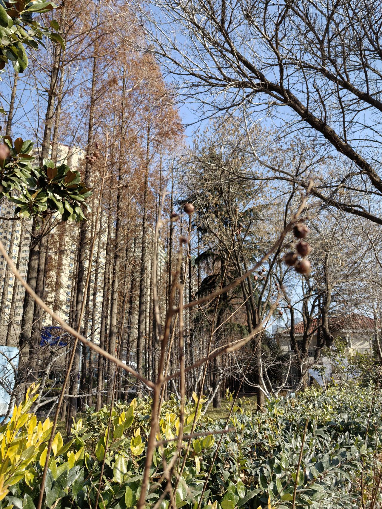 昨天因为别人的事情把自己看得既气愤又心酸。为了那个46岁不幸英年早逝的女人。