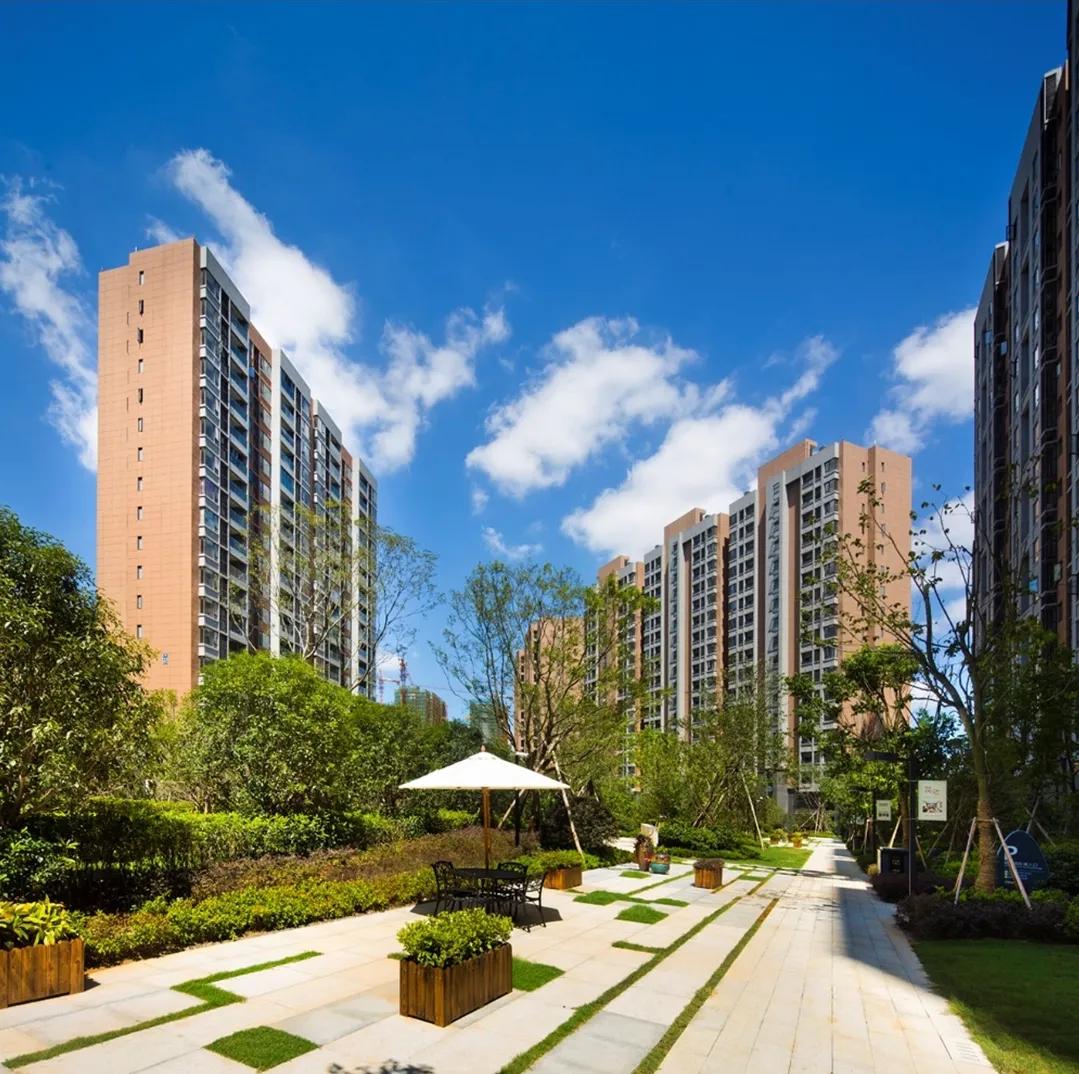 深圳地铁是万科第一大股东，本来要竭尽全力救万科的，以阻止万科债务违约，可是最近追