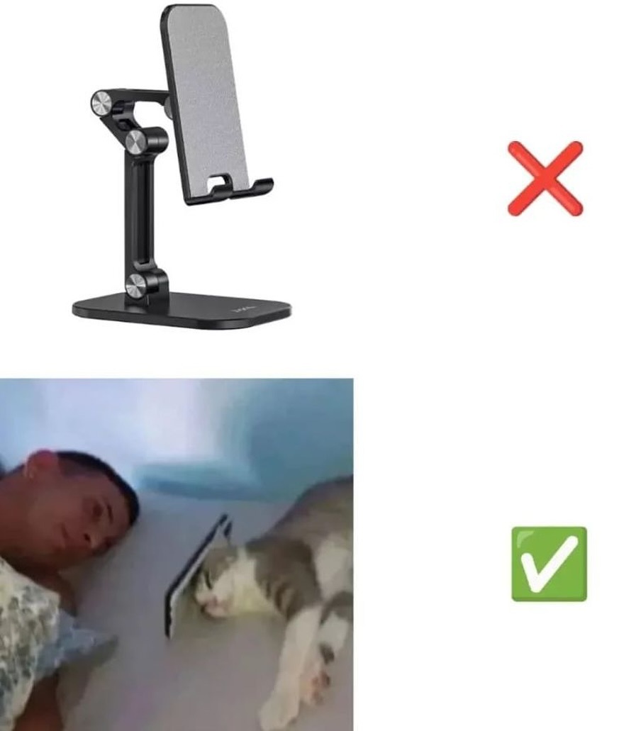有猫的人有福了meme​​​