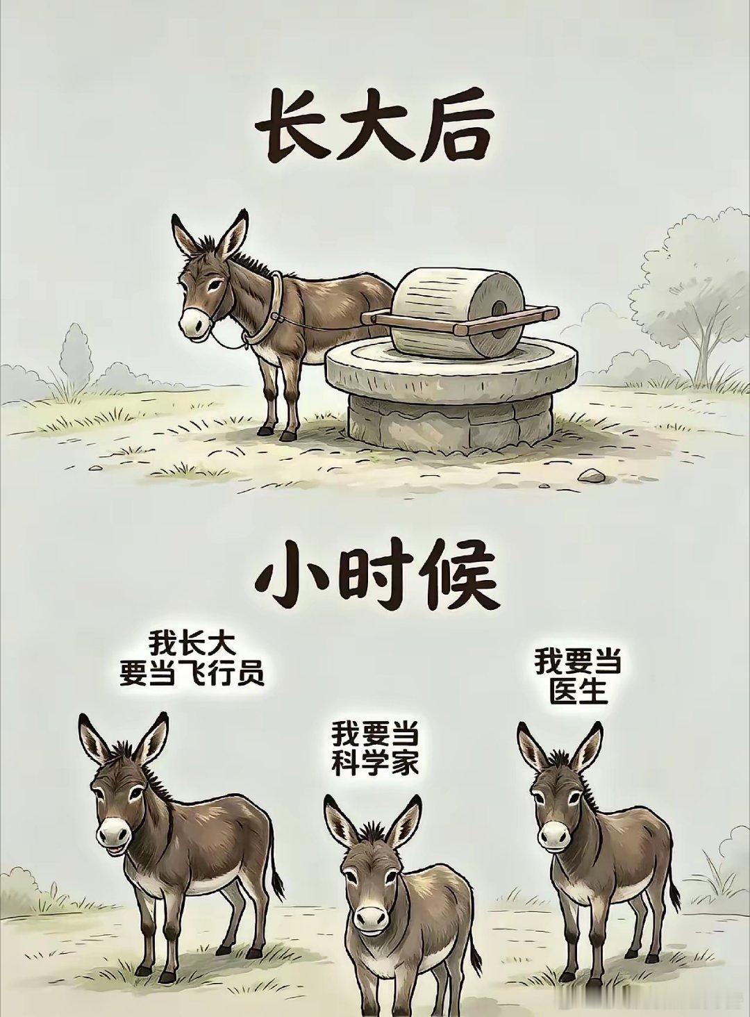 驴🫏：按揭买磨，月供拉一辈子。。。