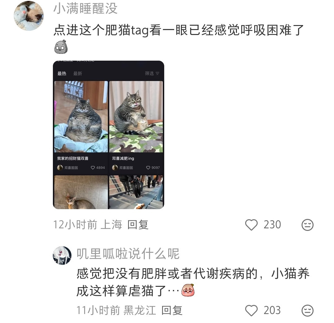 每次看到这种过胖的猫都很不适，想喂胖一个猫很容易吧，但是健康真的没问题吗