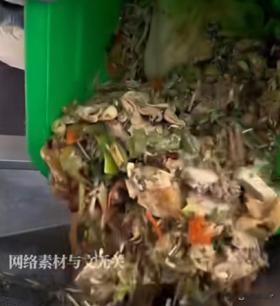 剩饭剩菜直接喂猪违法，厨余垃圾不能直接喂猪:最高可处1万元以下罚款！猪：吃了