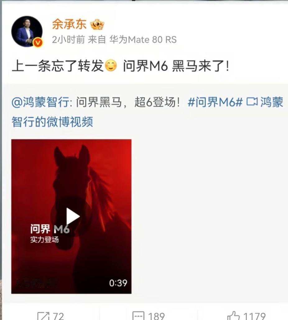 余总，说问界M6是一匹黑马。问界M6肯定会是爆款，外观有运动，但不失稳重，所以