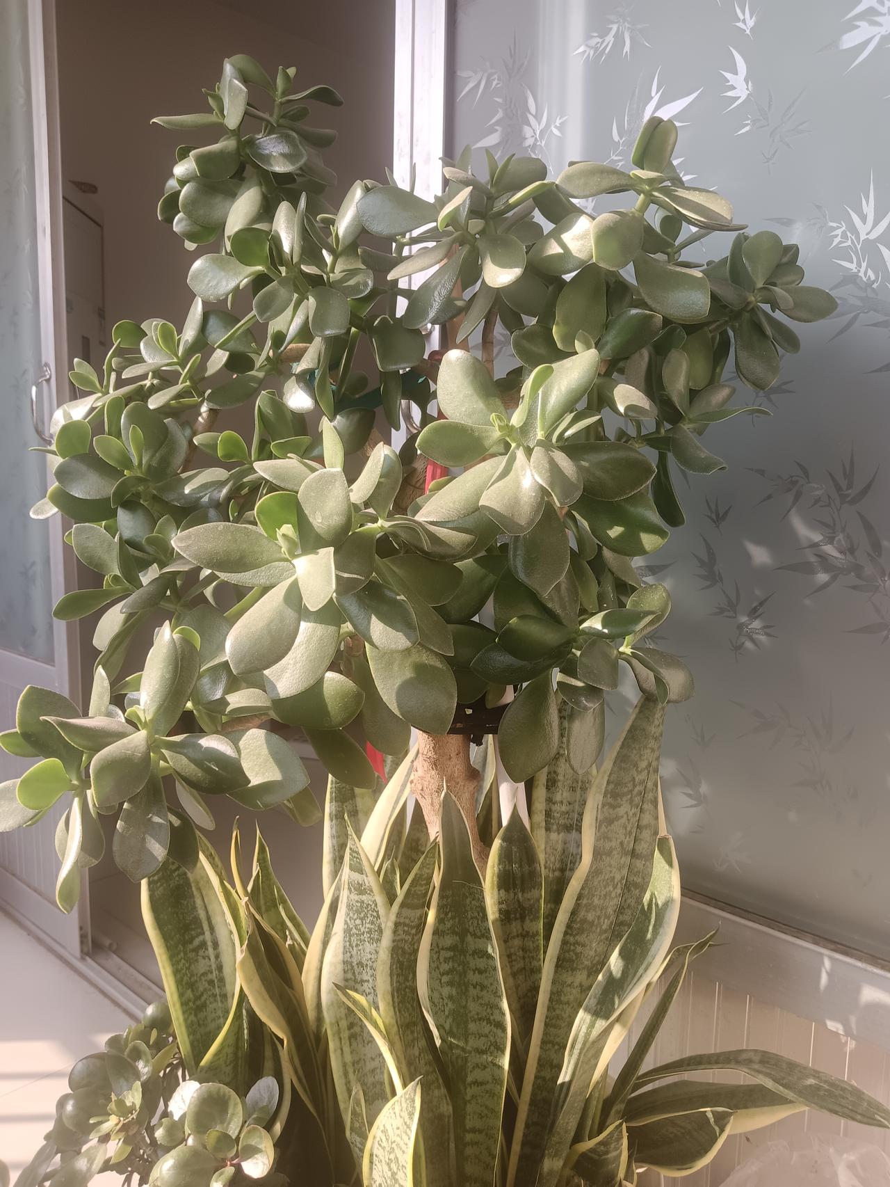 借钱给别人就是拿着钱找仇人，你信不信？多数人都是在借钱的时候，说的是天花乱坠，