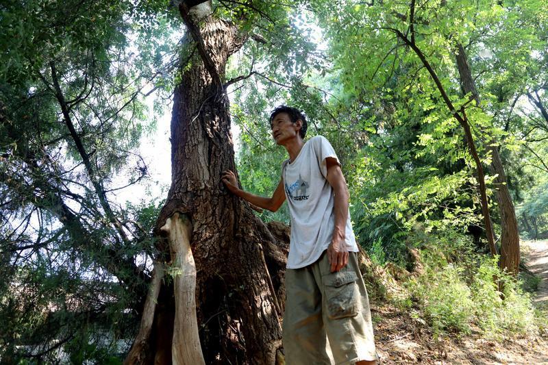 只要不生病，比啥都强，这话太对了。就说张大爷，七十多原本身子骨硬朗，可突然就查出