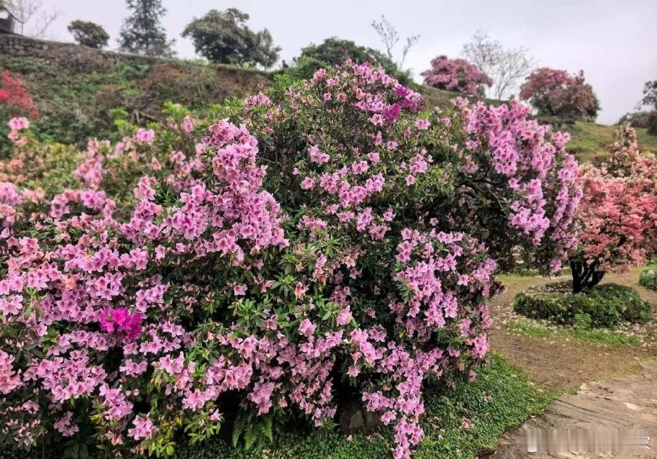 这些板块持仓过节比较安全：5.1长假马上开始了，又到了选择是持仓过节还是持币过节