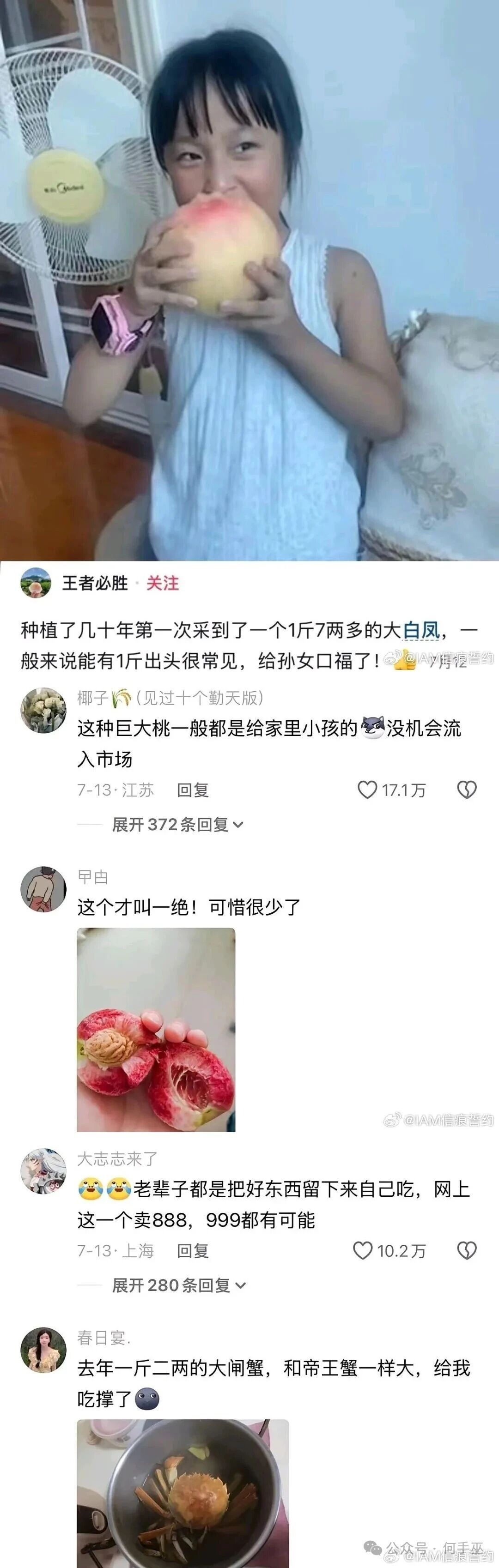 果然是王者老农
