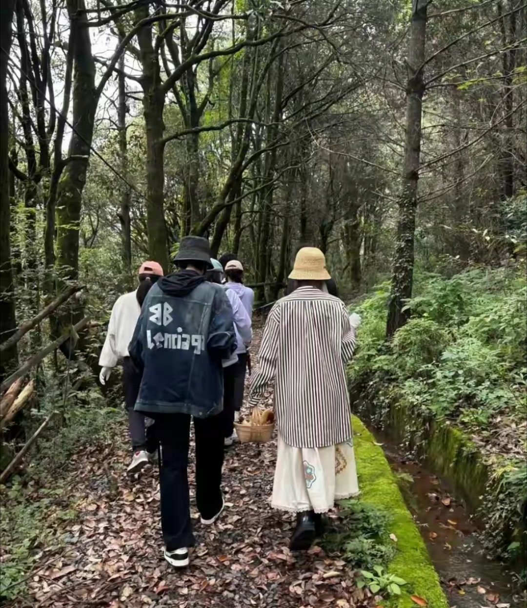 张若昀唐艺昕云南采菌子真夫妻真的很好磕糖，太甜啦！不愧是真夫妻～​​​