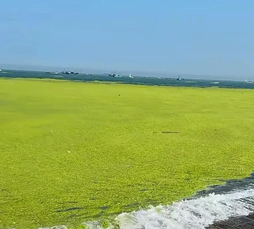 赌气离开泰安搬到青岛并非福气，山东科技大学正在被越来越多的省属高校超过，比如齐鲁