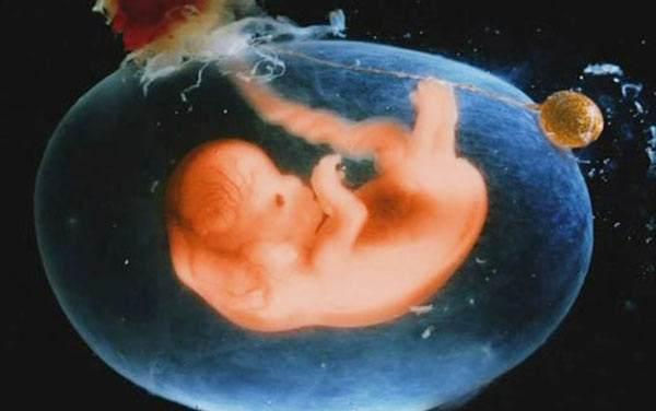 胎宝宝在妈妈肚子里是怎么拉粑粑的? 结果太重口了!